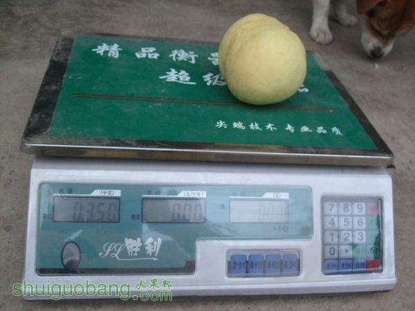 2015��9��19����Ե���� 010.jpg