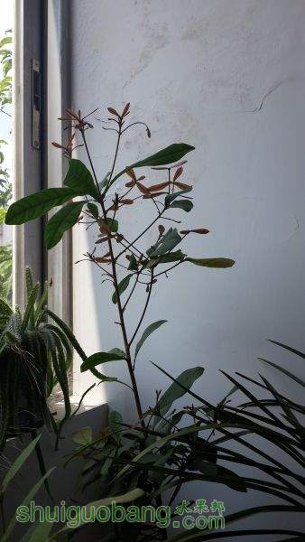 20150906_ѿչҶ.jpg