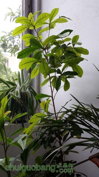 20150921_092008.jpg