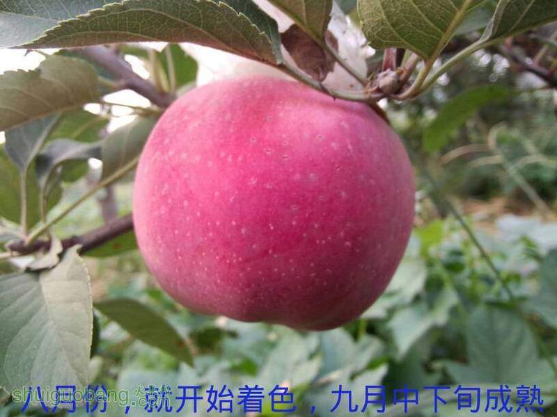 085205qgb03ee4f0f6aamf.jpg
