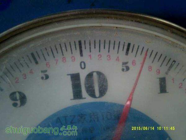 DSCF0017.JPG
