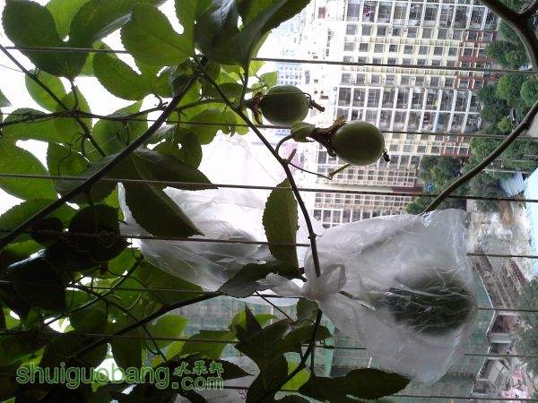 20150926_080735.jpg