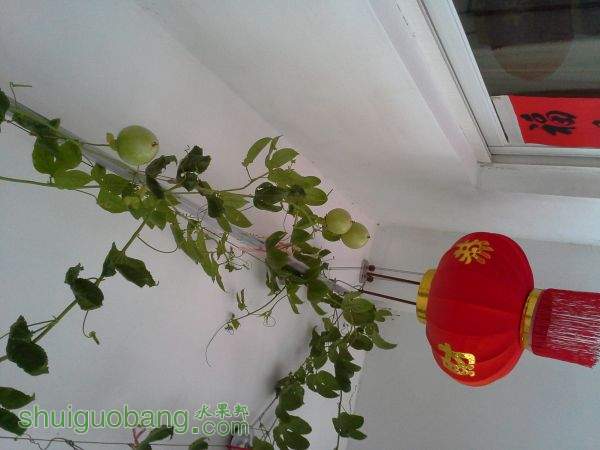 20150926_080812.jpg