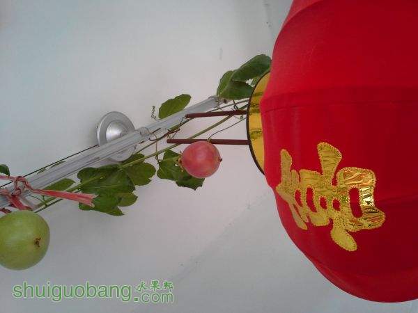 20150926_121701.jpg