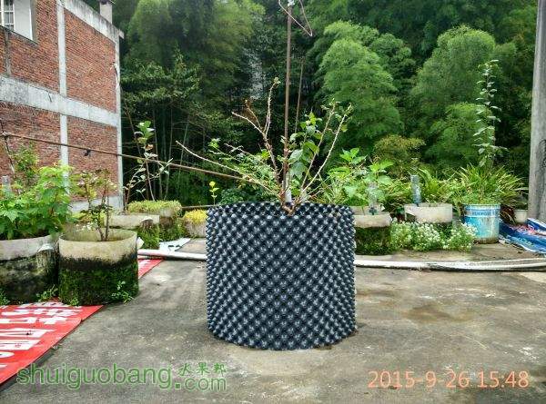 IMG_20150926_154851_HDR.jpg