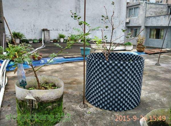 IMG_20150926_154935_HDR.jpg