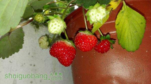 PIC_20150927_151712_DC5.jpg