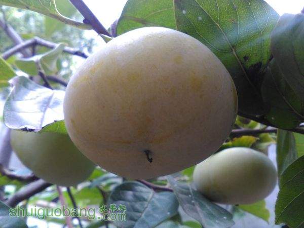 IMG_20150908_145427.jpg
