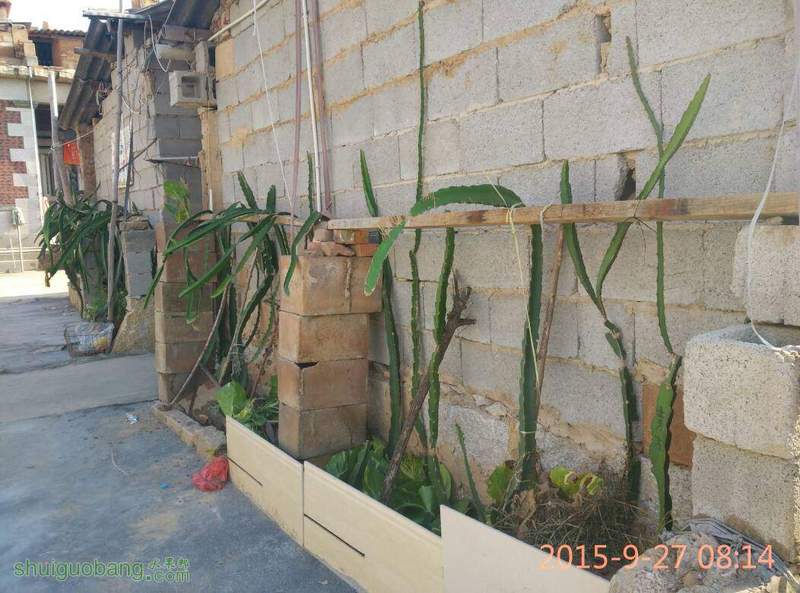 090407ip9jzhd7c9jhcdho.jpg