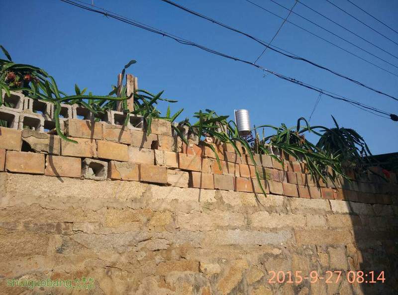 090503x374e4ue373qpeze.jpg