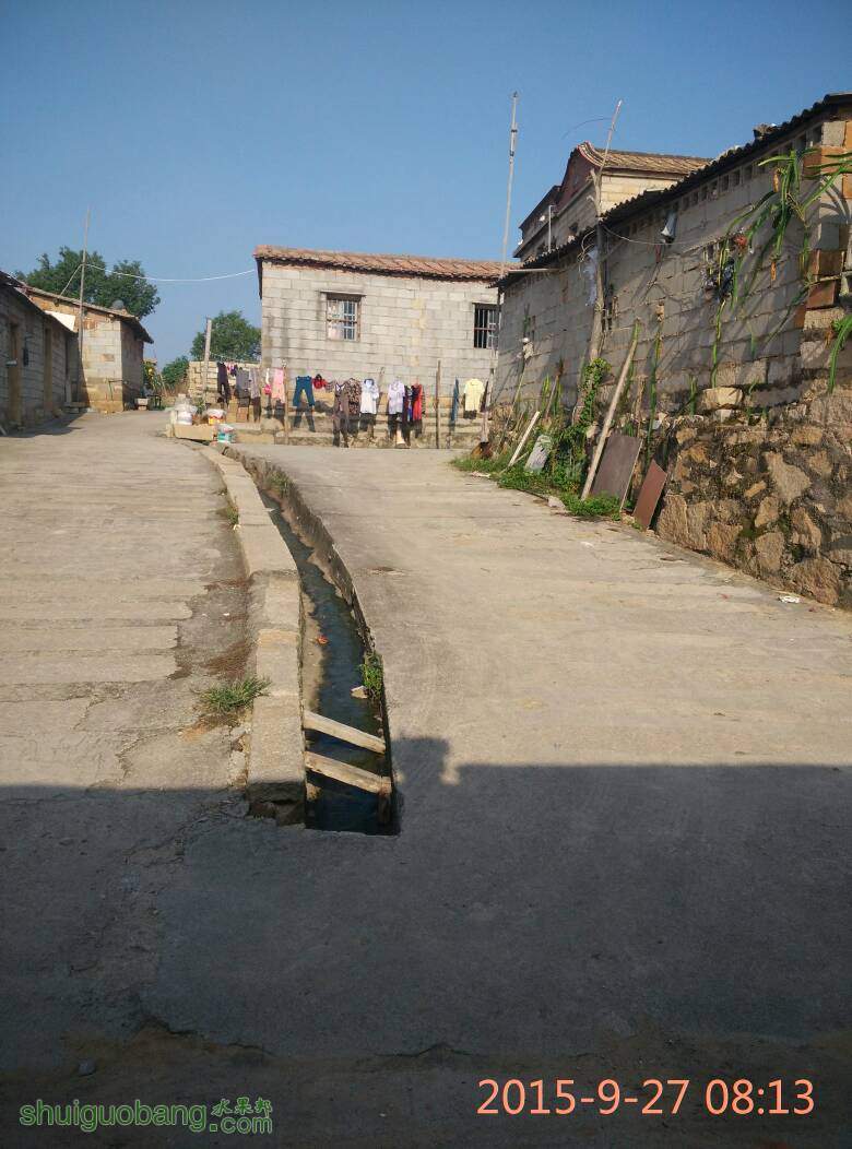 090611yvnh07nvuhkuwbua.jpg