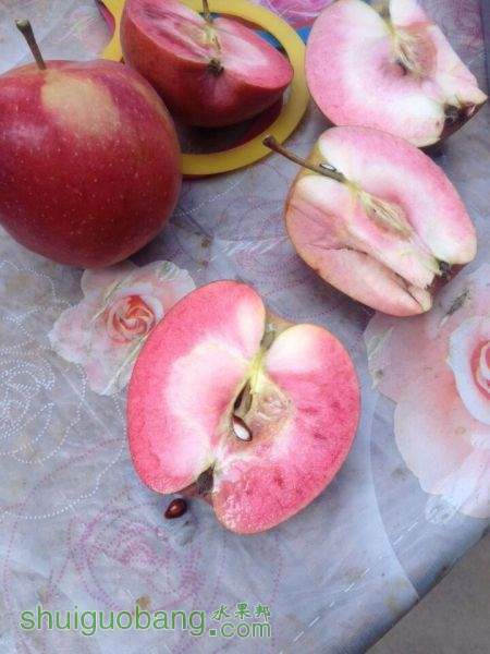 QQͼƬ20150928224631.jpg