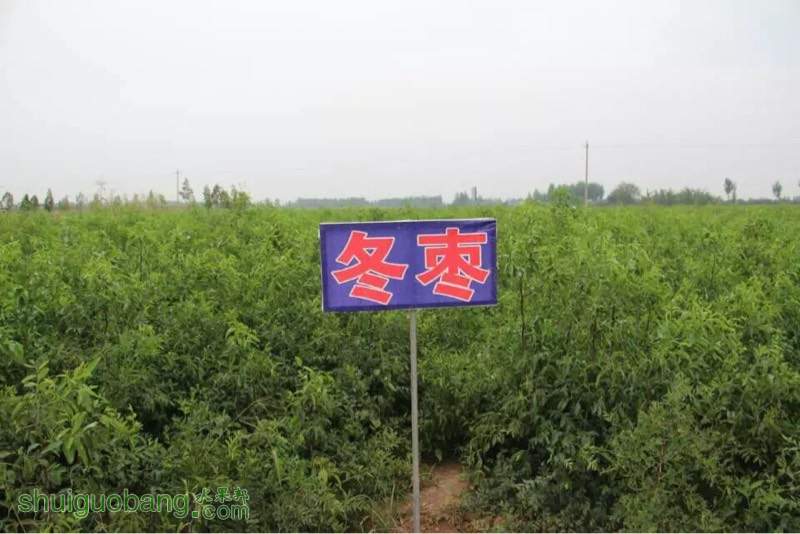 115155m7q7lhjcldzzjbe7.jpg