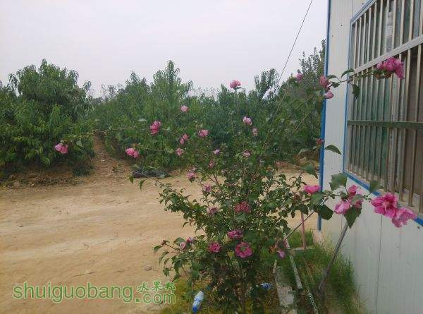 QQͼƬ20150929193453.jpg