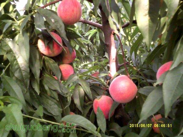 DSCF0011.JPG