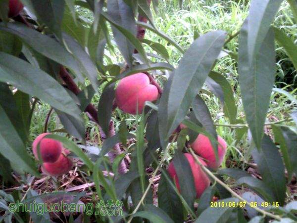 DSCF0019.JPG