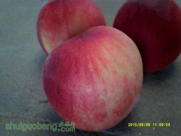 DSCF0039.JPG