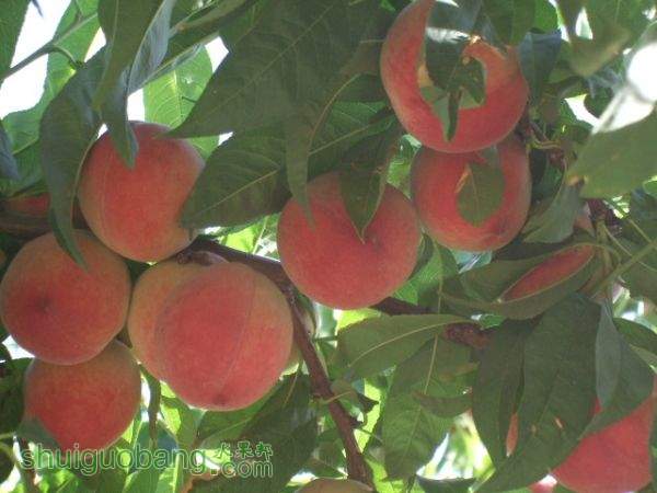 2014610֬ӡ 005.jpg