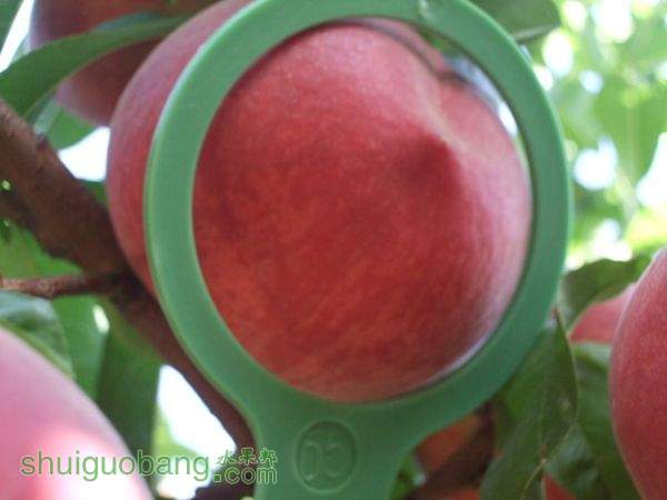2014610֬ӡ 007.jpg