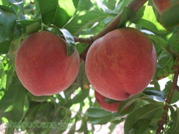 2014610֬ӡ 008.jpg