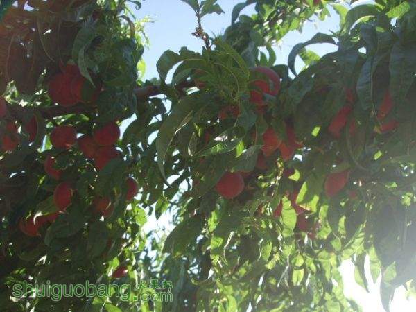 2014610֬ӡ 009.jpg