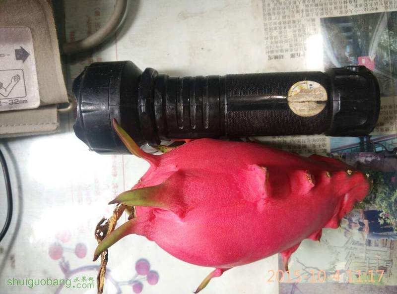 120508dl58rlzswun3srra.jpg