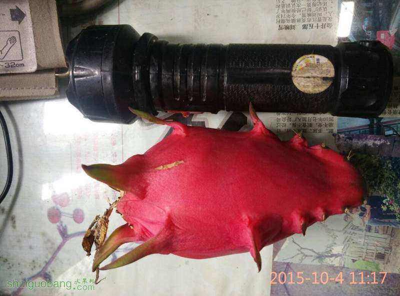 120508j8pllpo8cuvo7vv4.jpg
