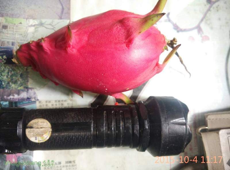 120509qzvrxnqmnne1n767.jpg