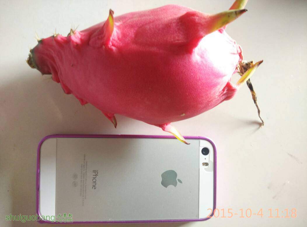 140409hdo1oh1q7dddfpod.jpg