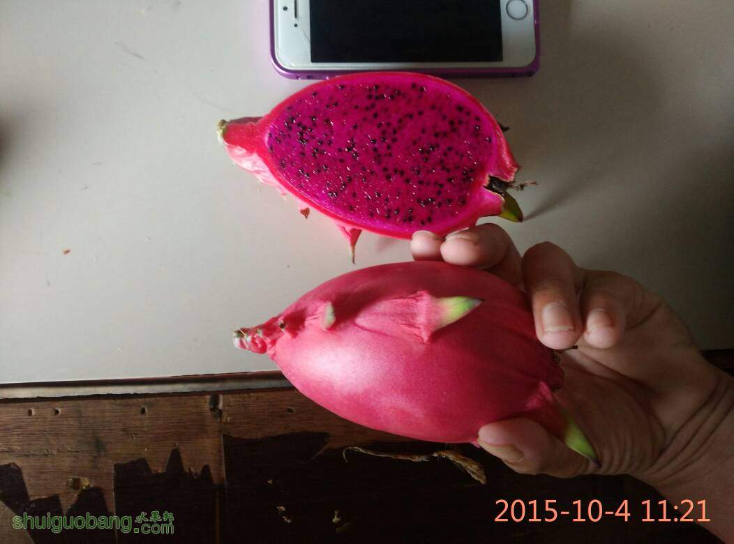 140410trkhbq0kbvzj8zqh.jpg
