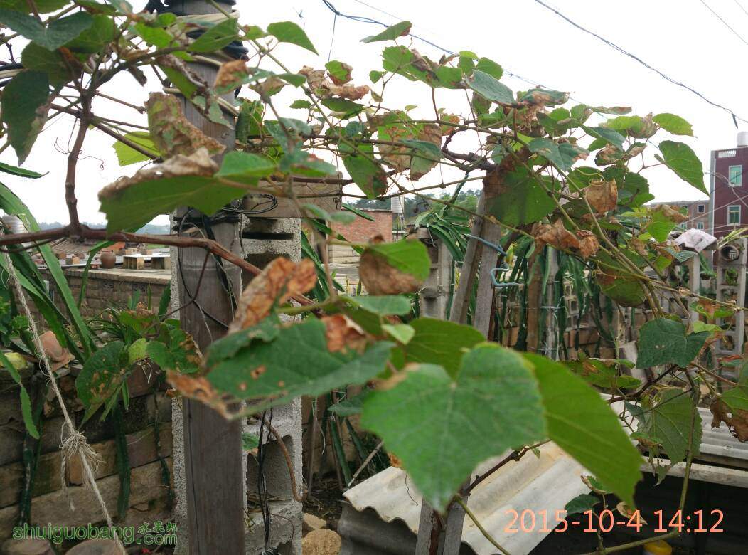 142434xpqx44sssxkr7x7q.jpg