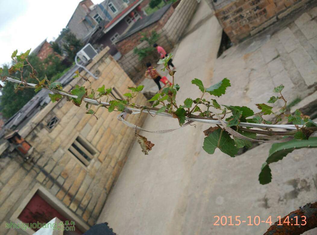 142435gzf75qzqf7x0w707.jpg