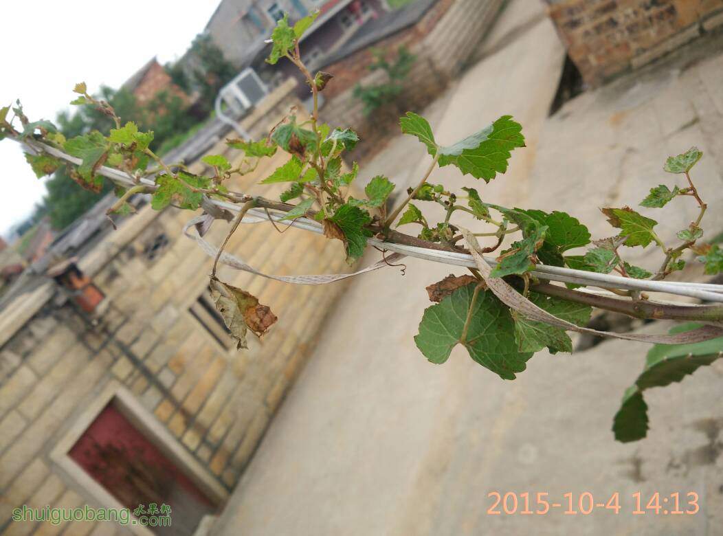 142436nmi3ye2fu7e1wb12.jpg