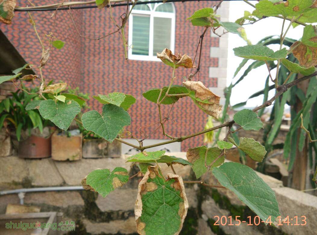 142458nkvkvvctyteuexzc.jpg