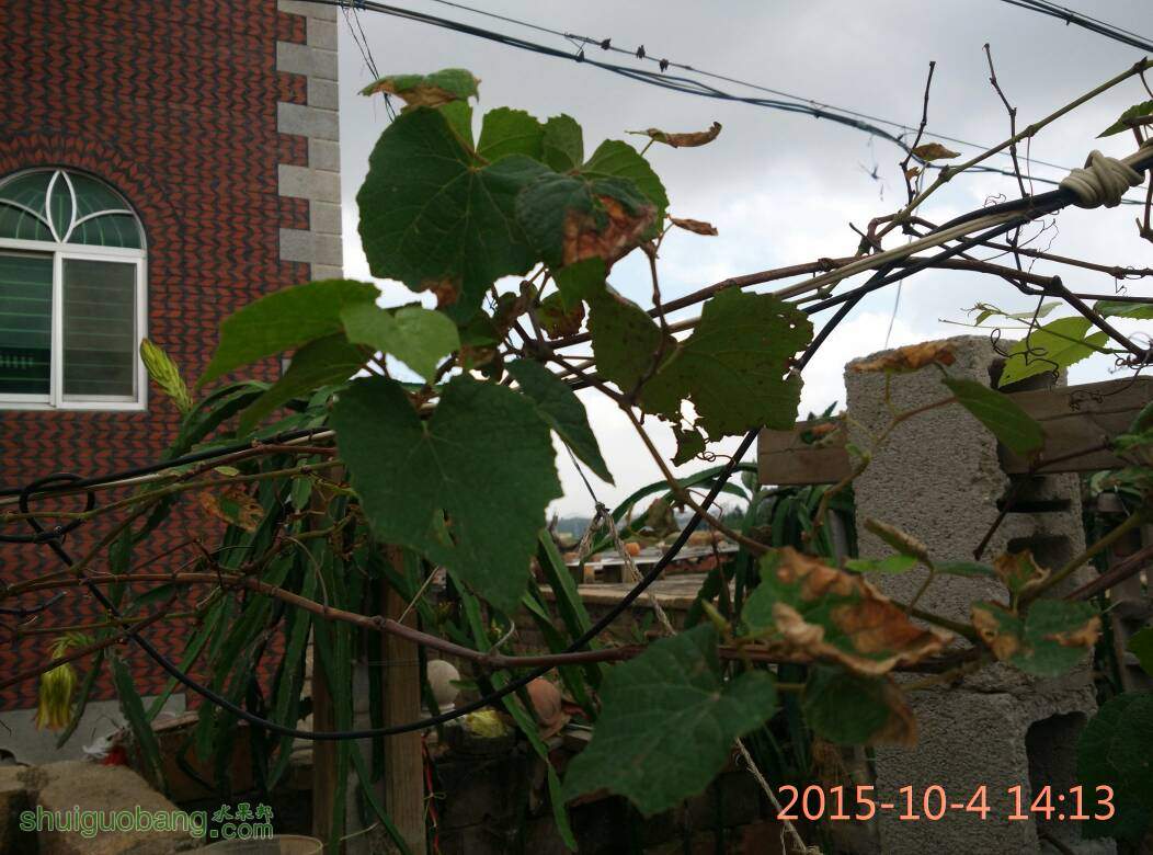 142458plp8q7z3yldmxypd.jpg