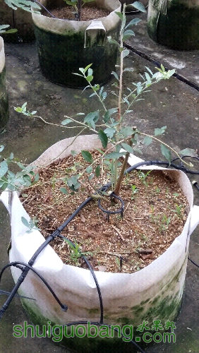 20151004_154143.jpg