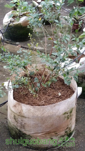 20151004_154010.jpg