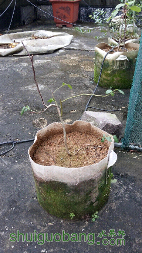 20151004_154958.jpg