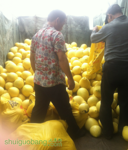 QQͼƬ20150925151415.png