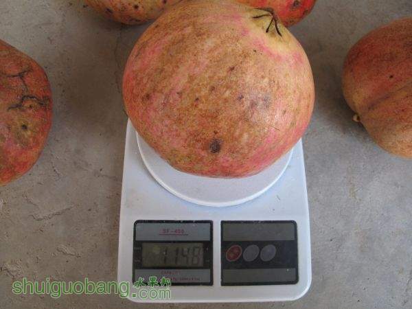 2015.10.1 ������԰����ʯ�� (48).JPG