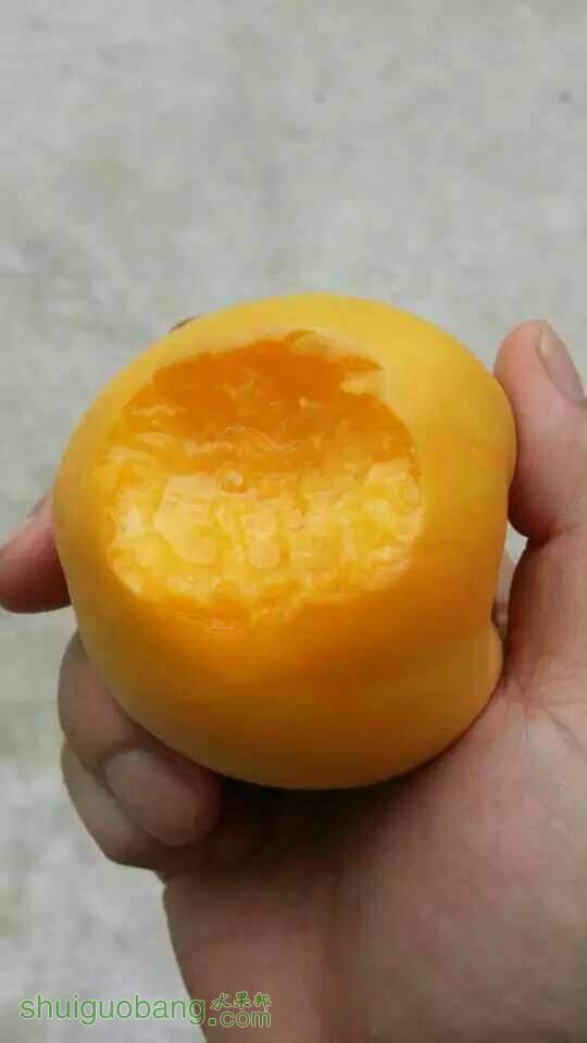 144930ibwprpzpsrw0rztp.jpg