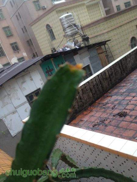 ̨�紵������M.JPG