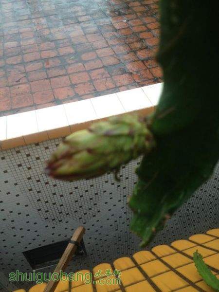 ̨�紵������N.JPG