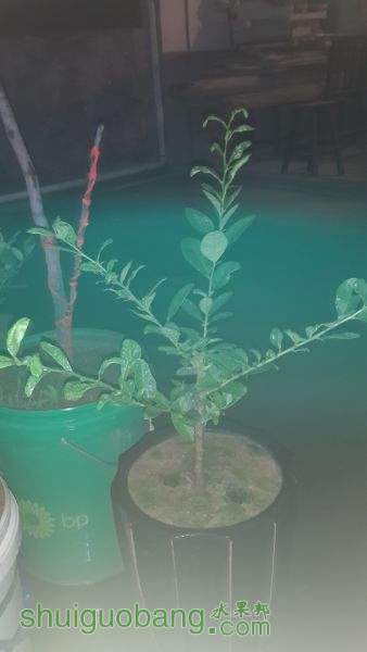 20151007_234013.jpg