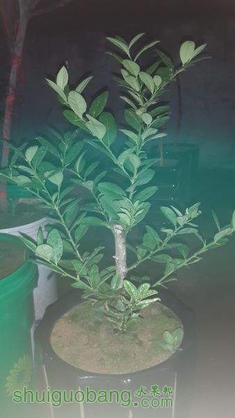 20151007_234030.jpg