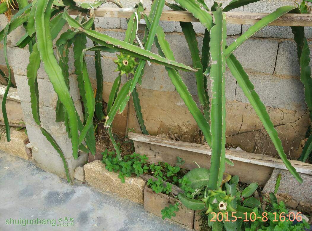 162607bu408uzak9q9929z.jpg
