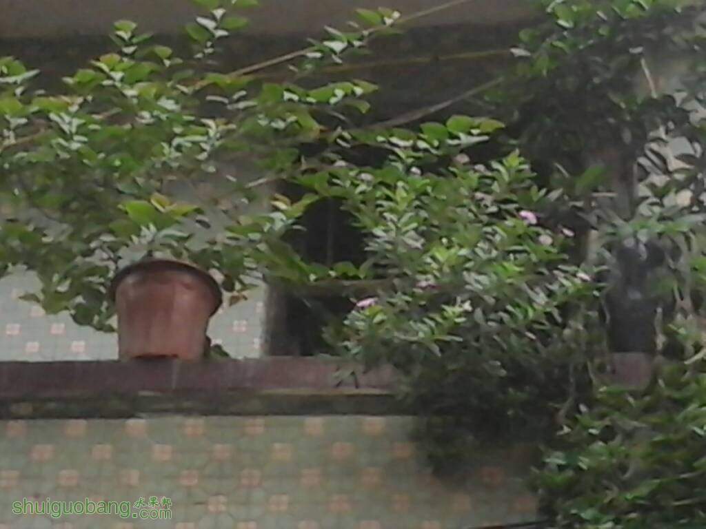 090703l2q0poy8dkmpu0my.jpg