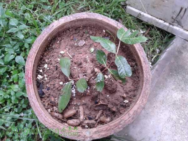 20151010_125653.jpg