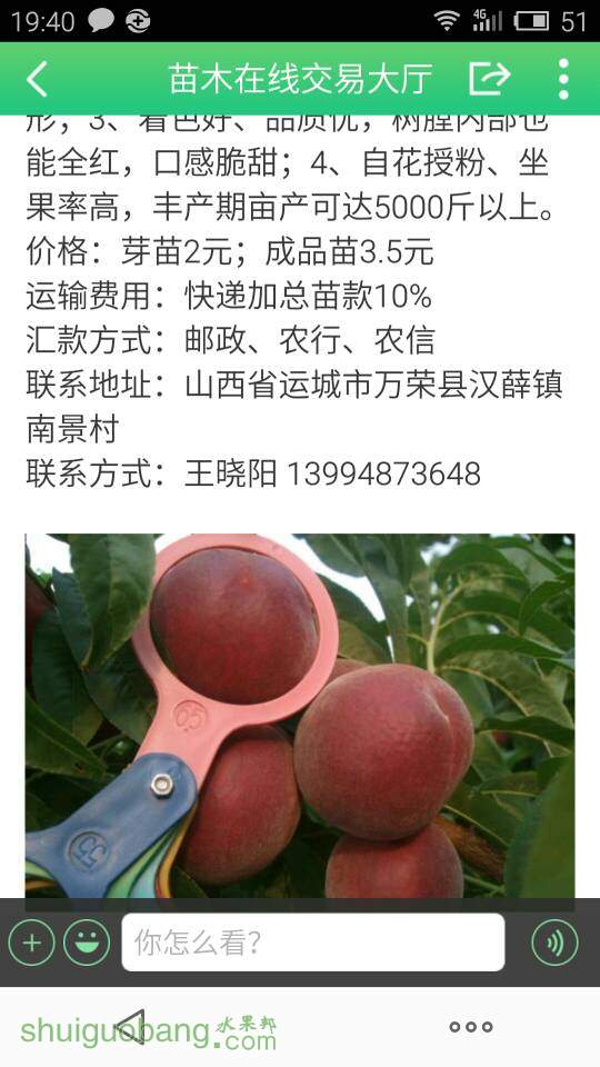 065928zbwpddd2pe7bcndp.jpg
