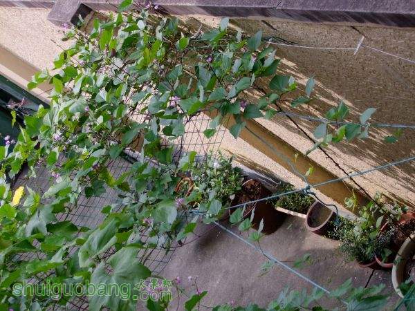 DSCF3079.JPG